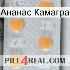 Ананас Камагра 24